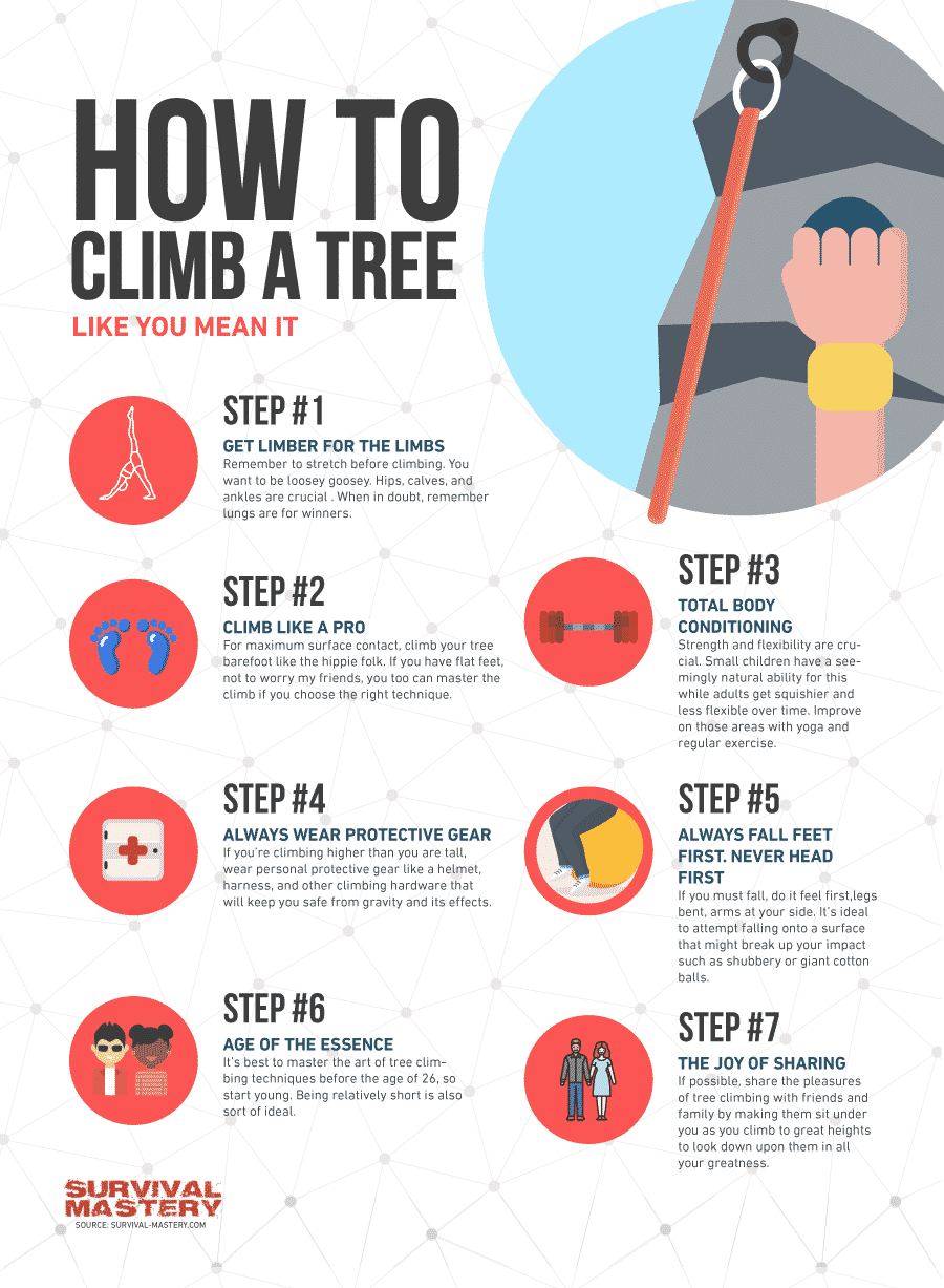How-to-climb-a-tree