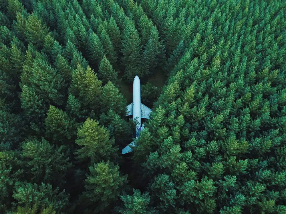 drone stuck in a tree