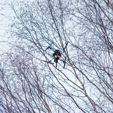 drone stuck in tree